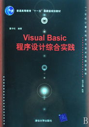 Visual Basic程序設(shè)計綜合實踐——21世紀(jì)計算機科學(xué)與技術(shù)實踐型教程評介